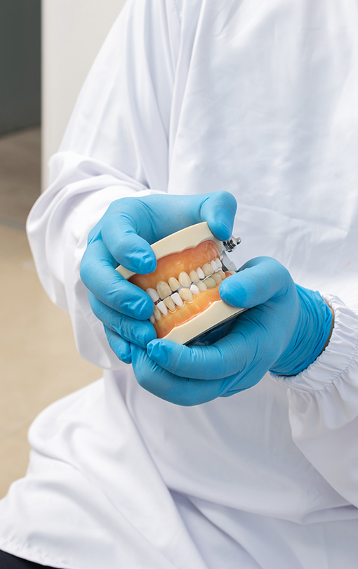 closeup of the hands of a dentist with latex gloves holding a de pokaz koron zębowych
