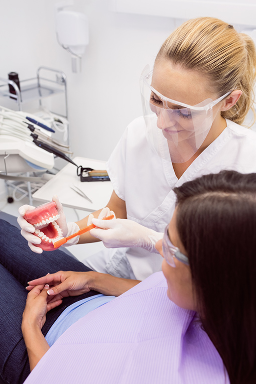 Dentist showing model teeth to female patient in dental clinic pokaz koron zębowych